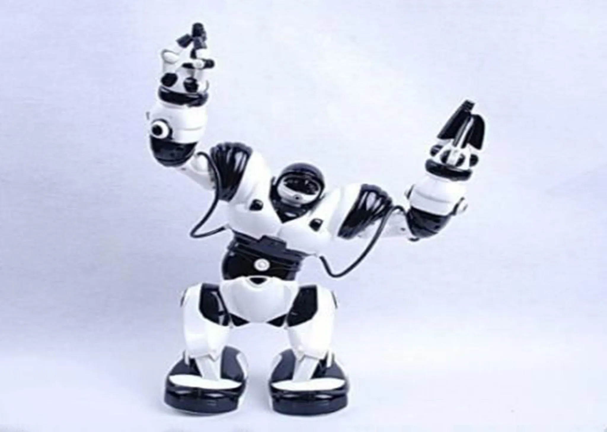 TT313 Remote Control Rc Robot Toy