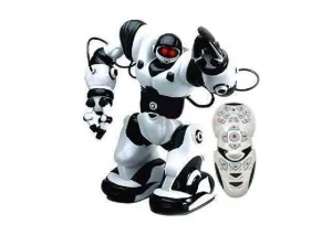 TT313 Remote Control Rc Robot Toy