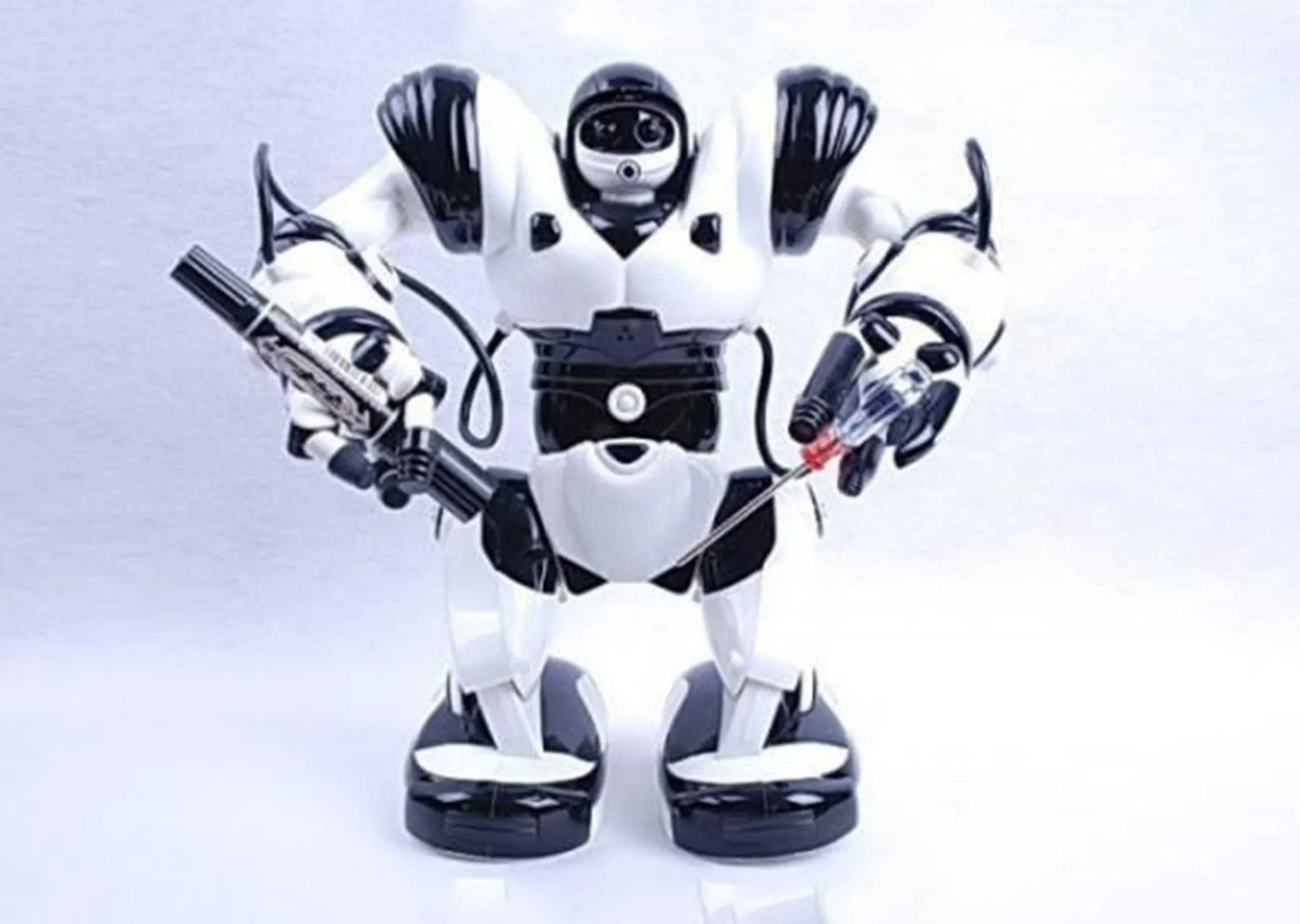 TT313 Remote Control Rc Robot Toy