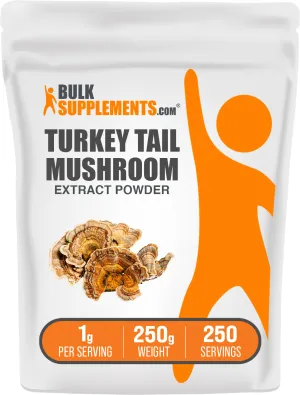 Turkey Tail Mushroom Extract Powder